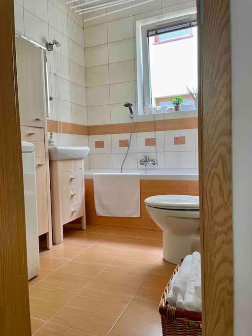 Miejska Oaza Apartament *