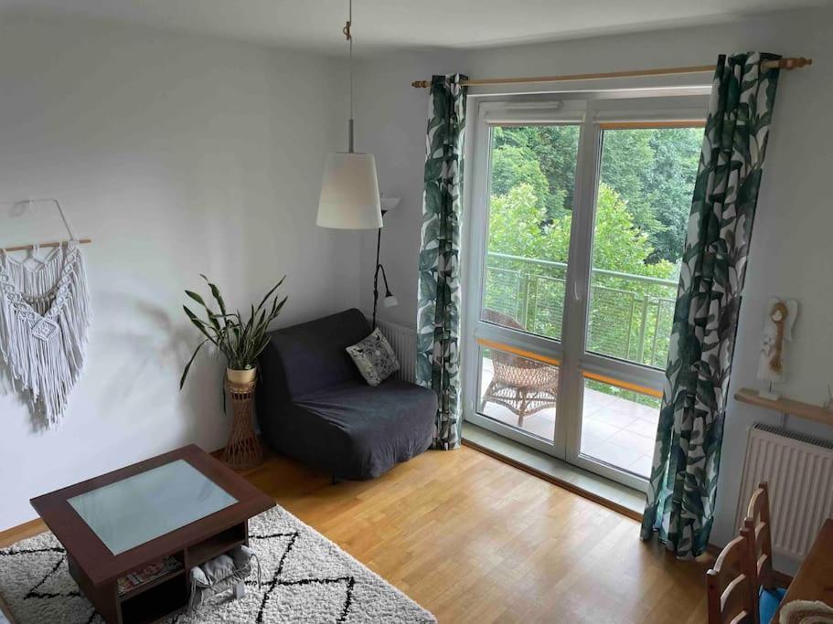 Apartament Miejska Oaza